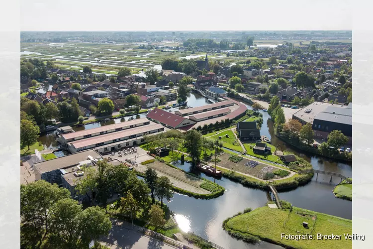 Beleef het veilingwezen in het Rijk der Duizend Eilanden