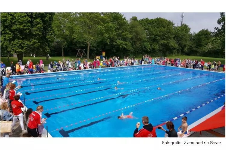 Jaarlijkse schoolzwemwedstrijd in zwembad de Bever
