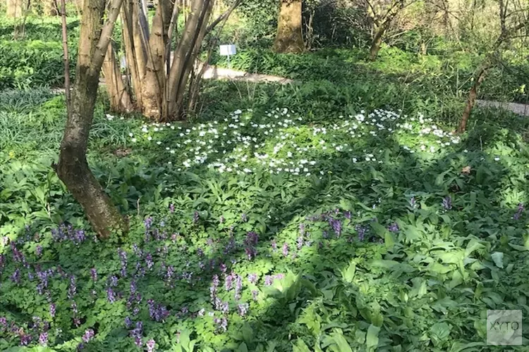 Hortus Alkmaar geopend voor vrienden