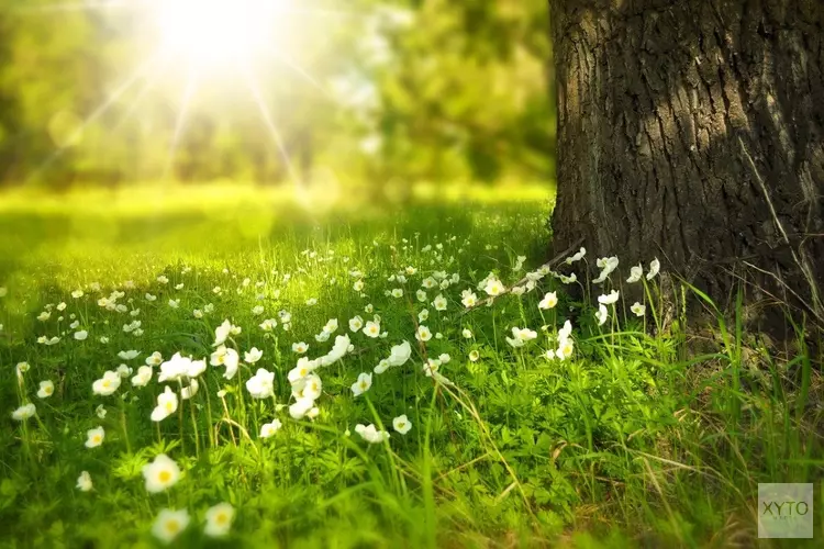 Komende week iets koeler, maar bovenal zonnig en droog