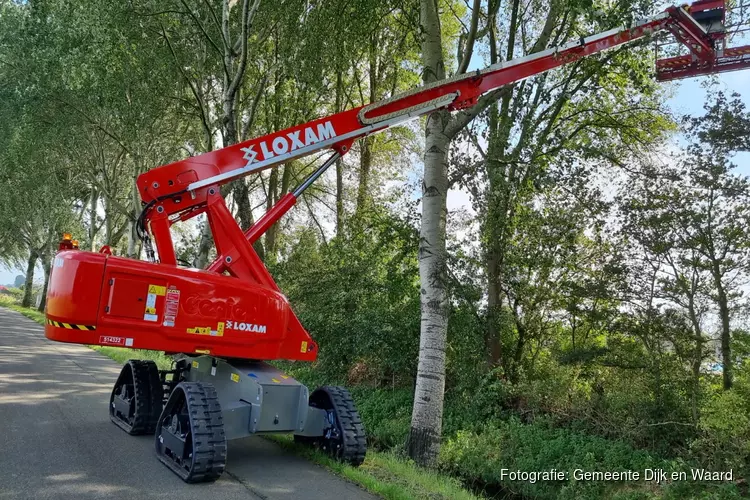 Komende twee maanden onderhoud van bomen in Gemeente Dijk en Waard