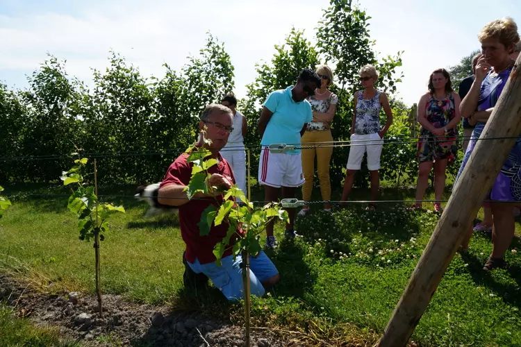 Je kan weer boeken voor de High Wine in De Koen