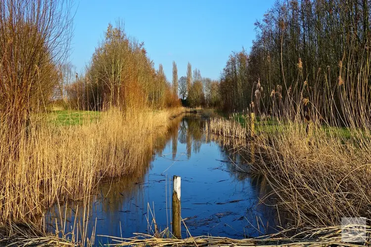 Noord-Hollands Natuurnetwerk bijna afgerond: nog 4.257 hectare te gaan