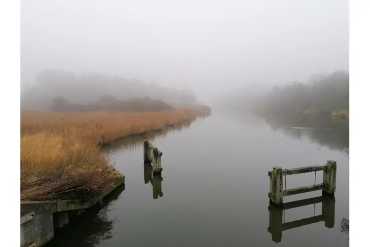 Natuurwandeling op zondag 16 februari door Geestmerambacht