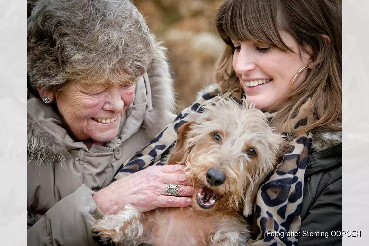 Stichting OOPOEH zoekt senioren en hondenbaasjes
